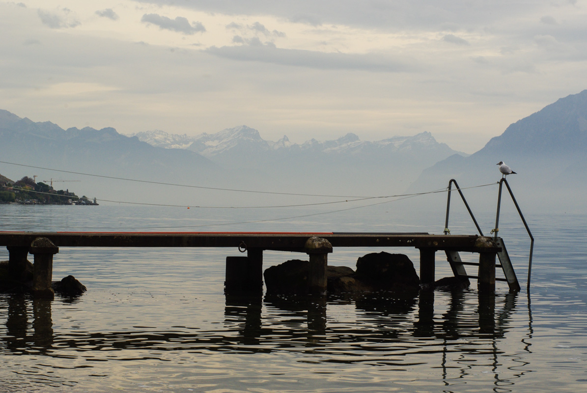 Au bord du Lac Léman côté suisse