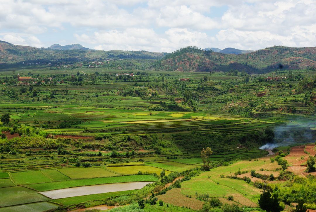 Panorama sur les rizières de Betafo - Madagascar