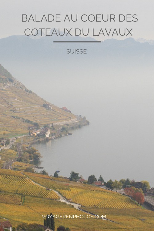 Randonnée au cœur des coteaux du Lavaux sur les rives du Lac Léman - Vignobles classés au Patrimoine Mondial de l'UNESCO - Canton de Vaud - Suisse