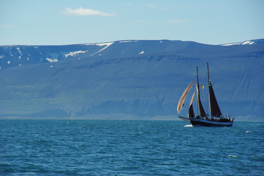 bateau voguant le long des côtes d'Islande