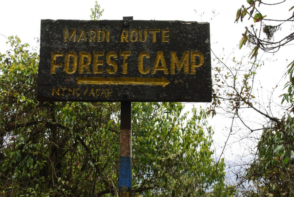 Vers Forrest Camp - Trek Mardi Himal