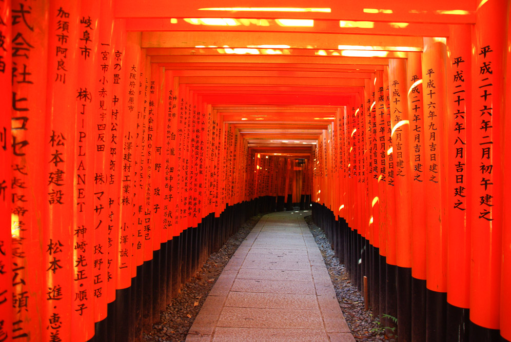 tori de Fushimi-Inari - Kyoto - Japon