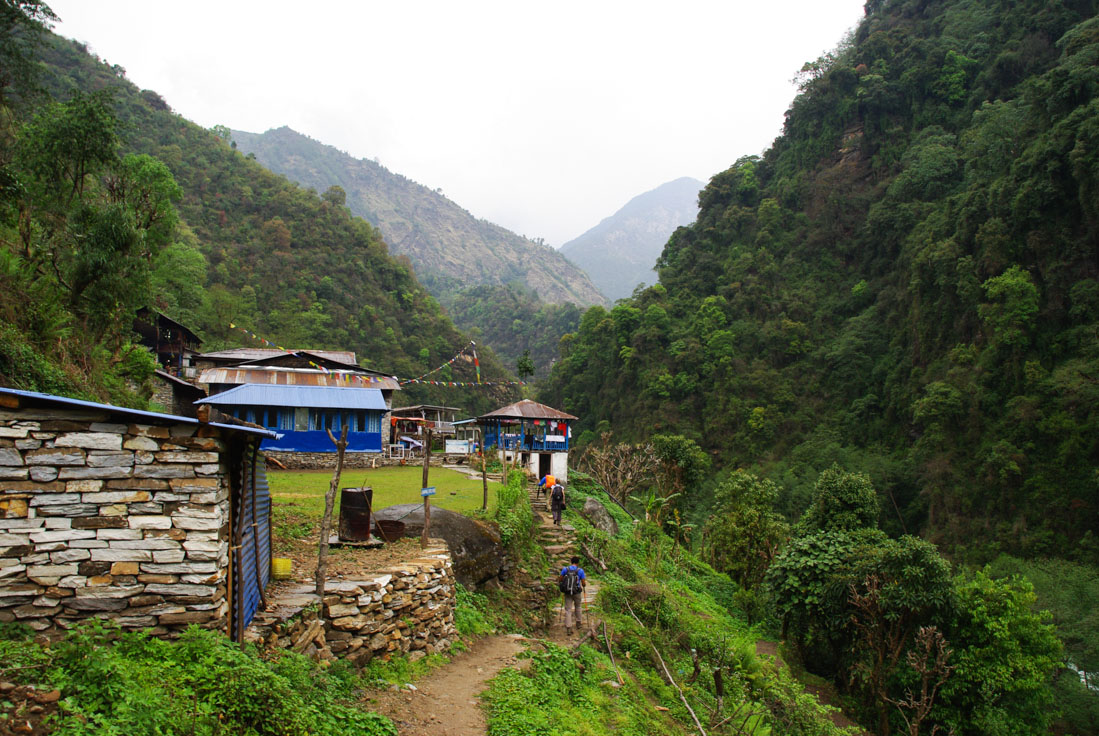 Chemin du sanctuaire des Annapurnas entre Landruk et Jhinu