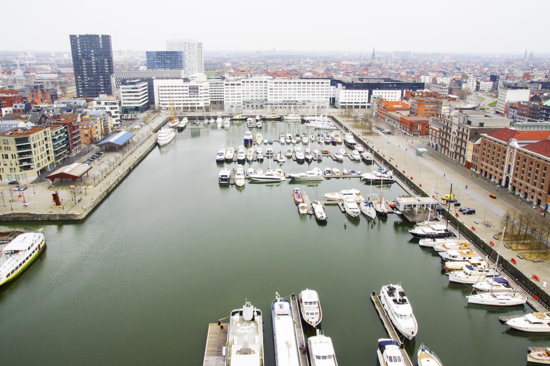 Panorama sur le port d'Anvers depuis la terrasse du Mas
