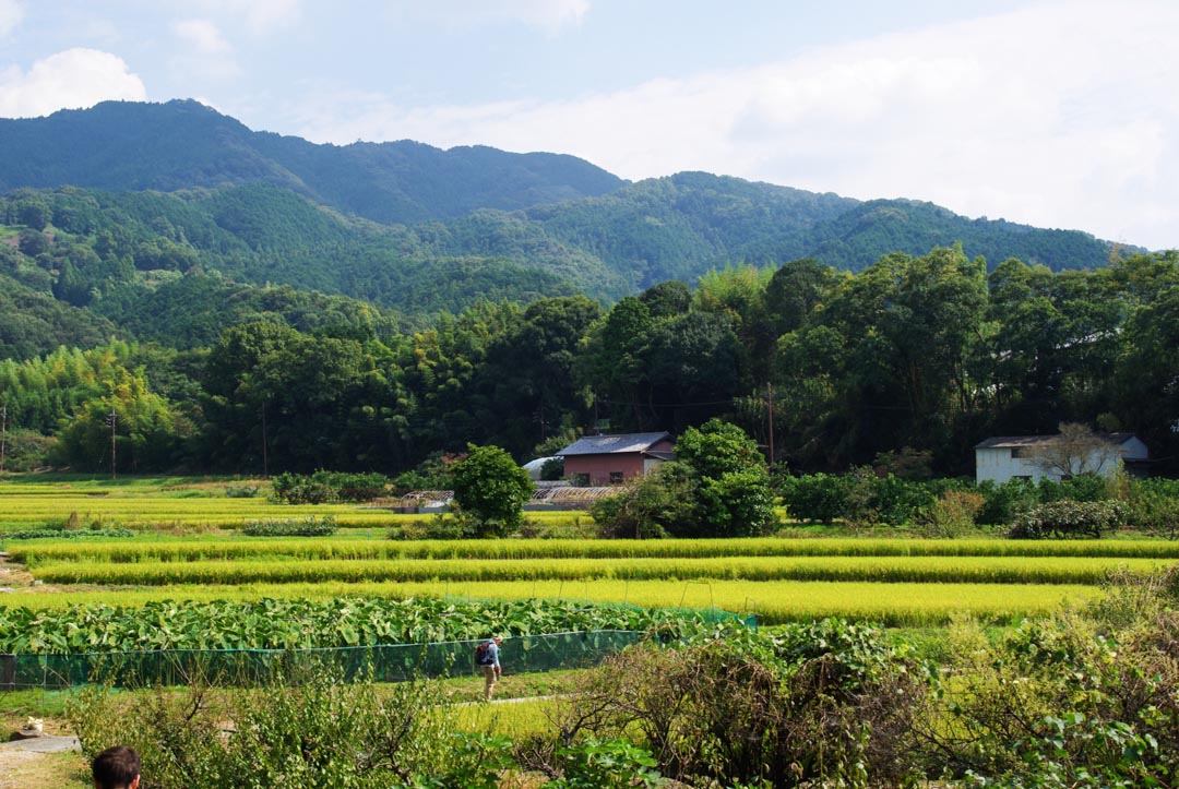 Les rizières et la montagne du Kansai autour de Nara