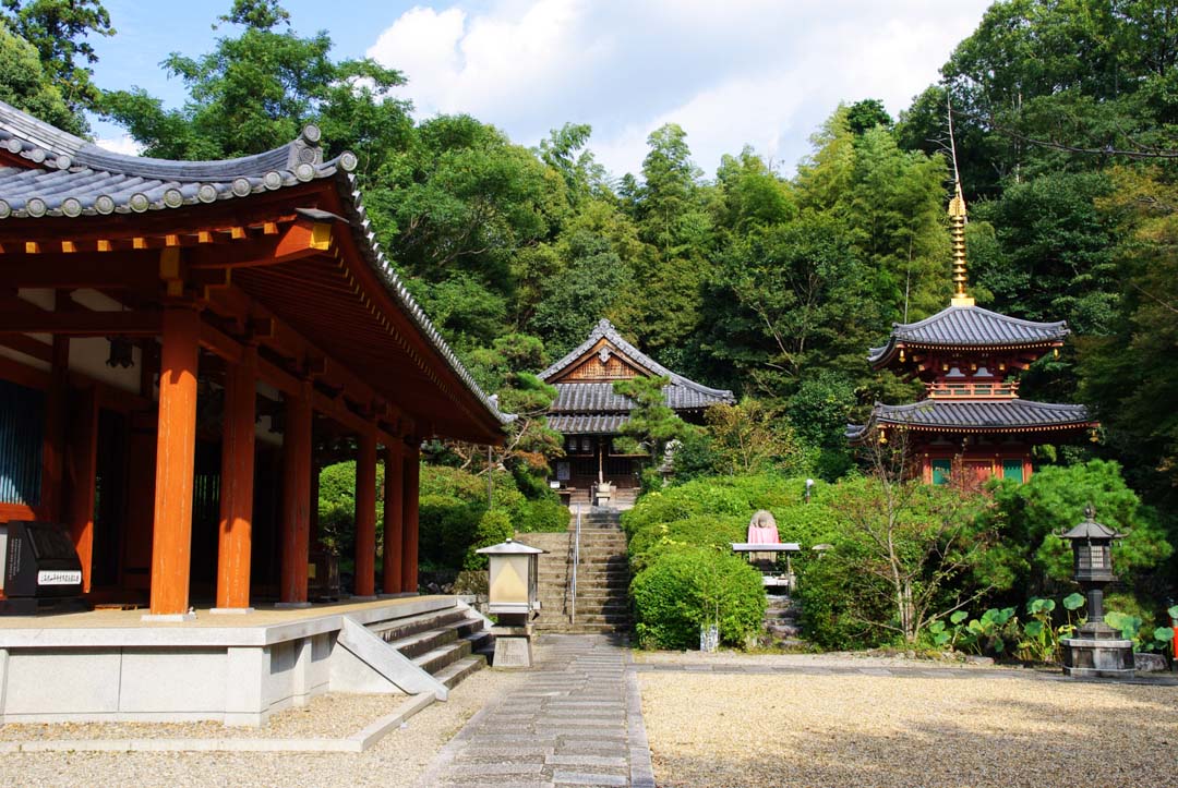 temple byodo-ji - Sakurai - Japon