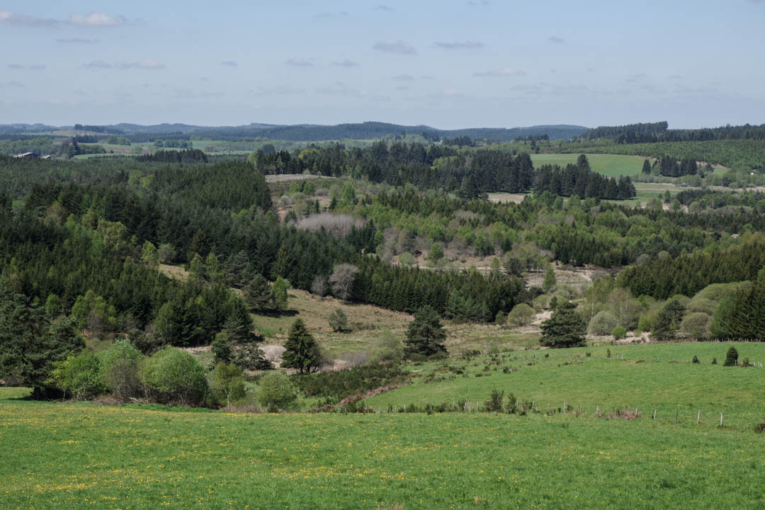 Plateau de Millevaches - Corrèze - Limousin