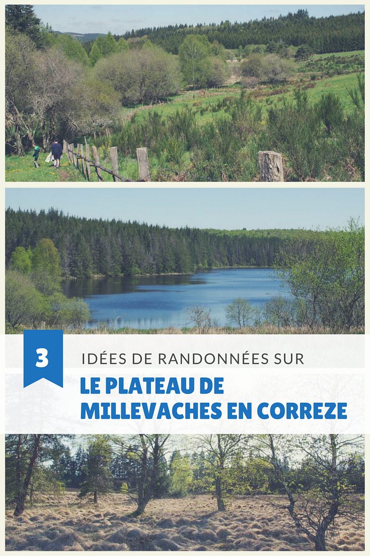 3 idées de randonnées dans la partie correzienne du Parc Naturel Régional de Millevaches en Limousin