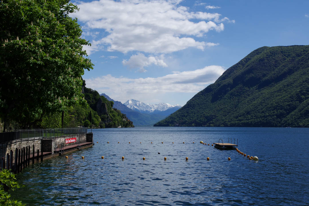 Le Long du sentier de l'Olivier au bord du lac de Lugano