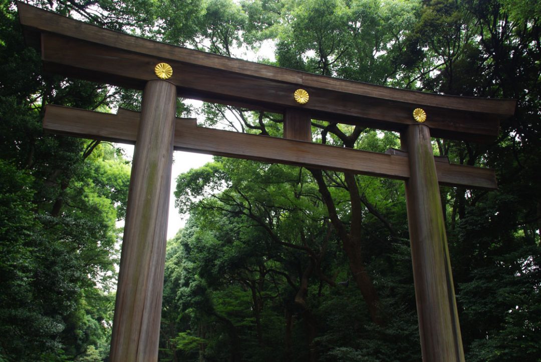 Entrée du sanctuaire Meiji Jingu - Tokyo