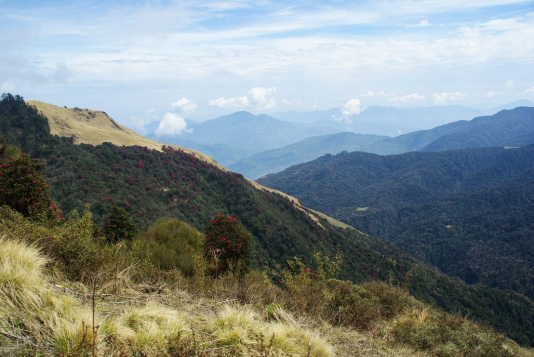paysage des Annapurnas