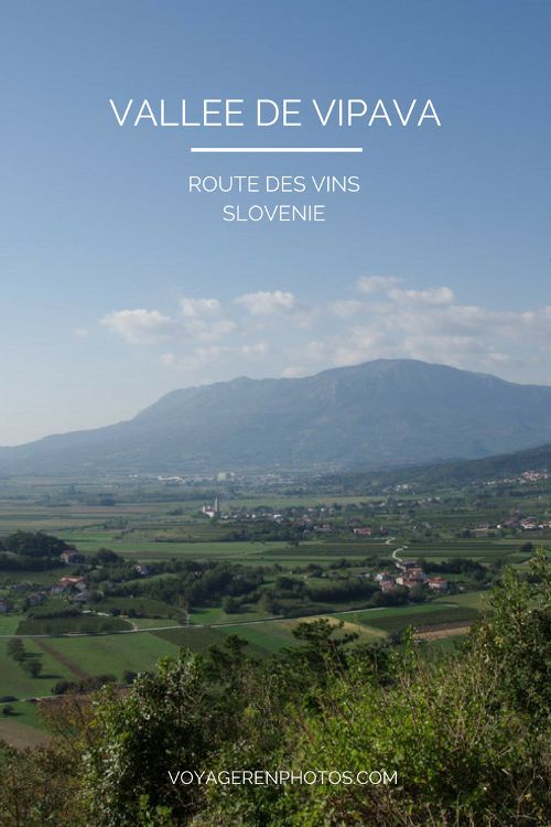Vallée de la Vipava : randonnée et route des vins en Slovénie