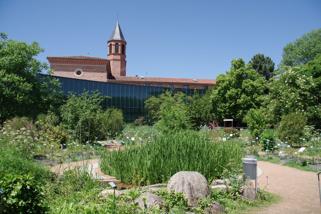 Jardin Botanique - muséum d'histoire naturelle de Toulouse