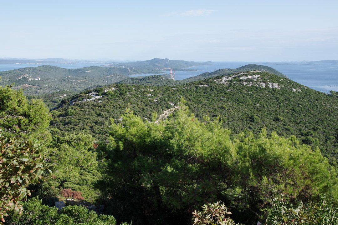 Panorama sur l'ile d'Uglan - Croatie
