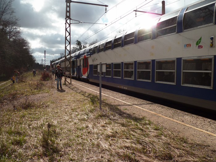 Le train transilien dépose les randonneurs en pleine forêt de Fontainebleau