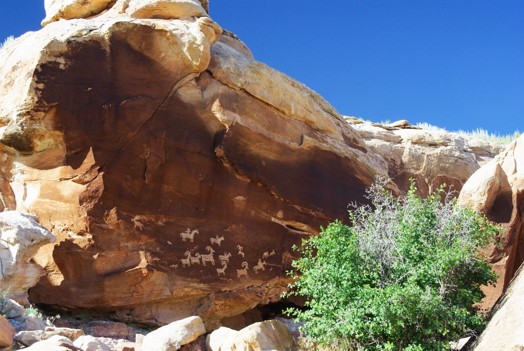 pétroglyphes - Arches national Park