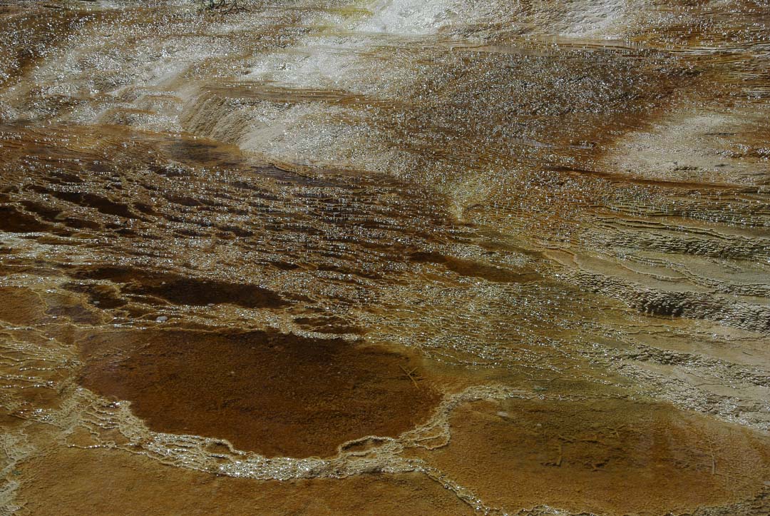détail des formations calcaires de Mammoth Lower Terraces