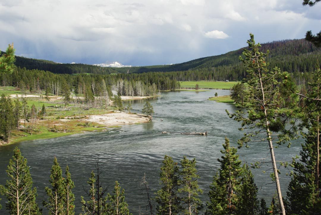 la rivière de Yellowstone