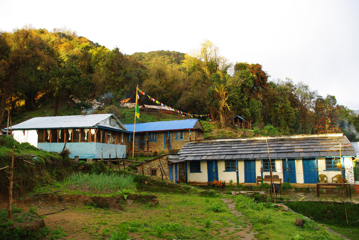 Lodge de Forest Camp - Mardi Himal