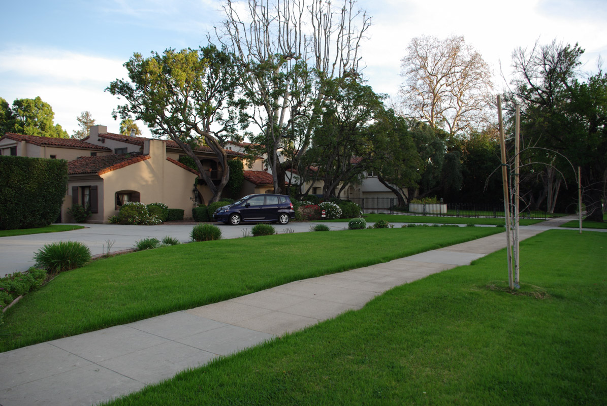 Pelouse bien verte dans la banlieue de Los Angeles