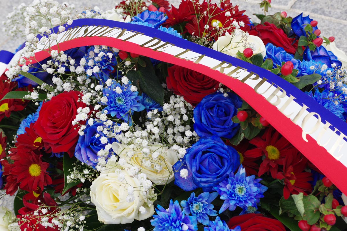 fleur commemoration armistice du 11 novembre