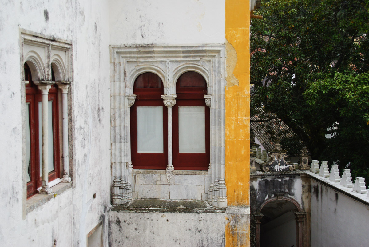 IMGP0263