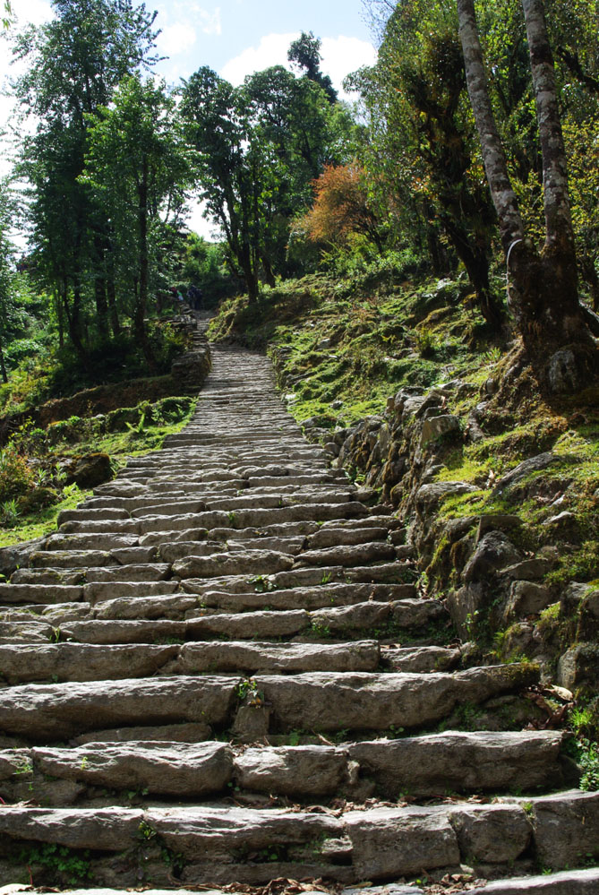 escaliers en pierre du trek des Annapurnas à Chomrong