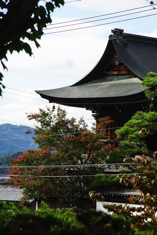 environs du temple Higashiyama - Takayama