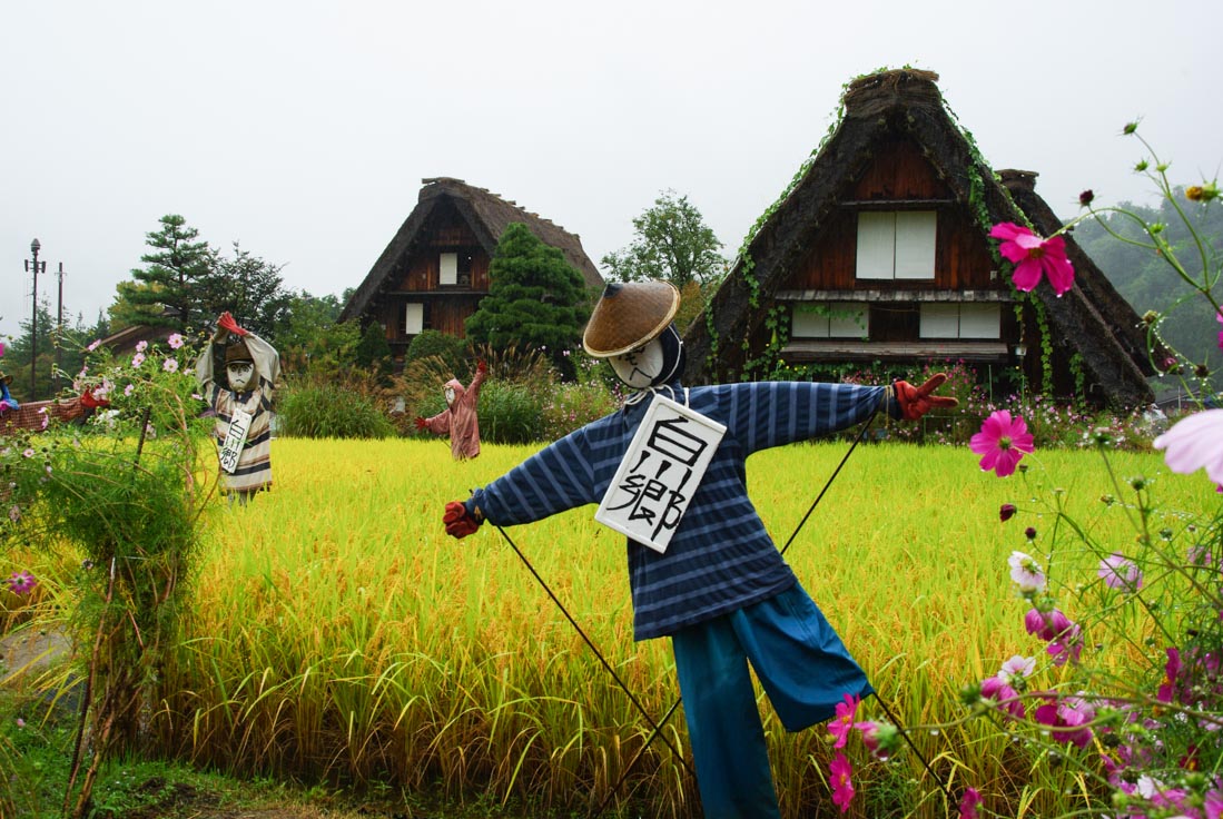 épouvantails dans les rizières de shirakawa-go