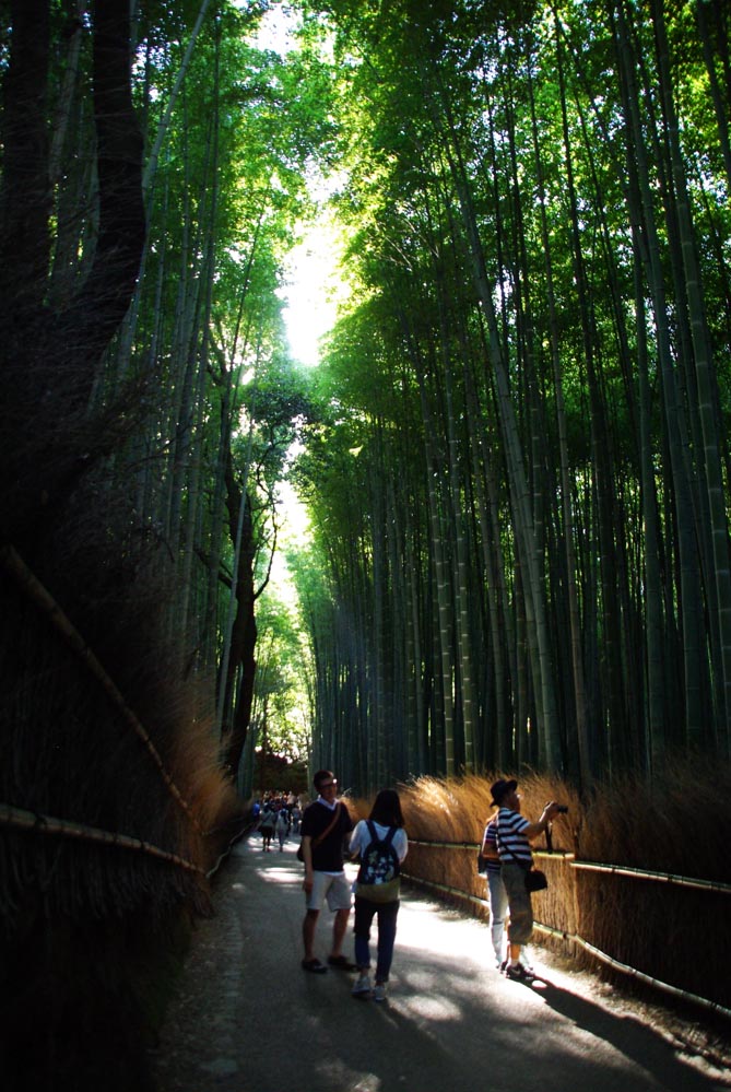 bambouseraie d'Arashiyama à Kyoto