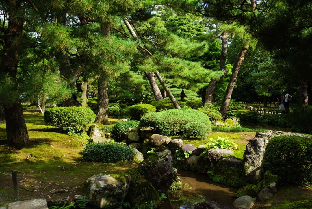 jardin Kenrokuen - Kanazawa