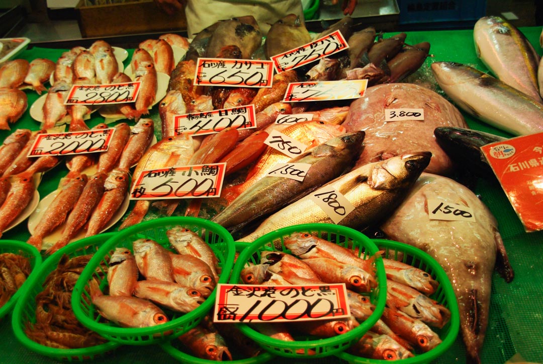stand de poissons frais au marché Omicho à Kanazawa