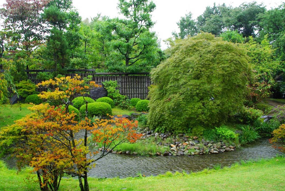 jardin koko-en - Himeji