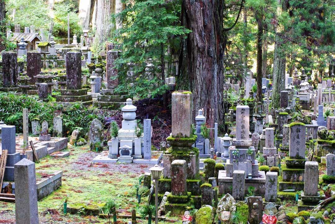 tombes - cimetière de l'Okuno-in - Koya-San