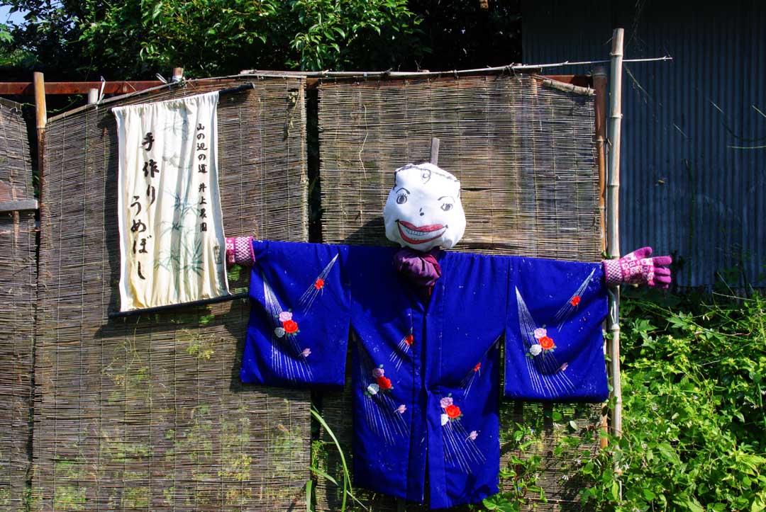 Epouvantail Japonais