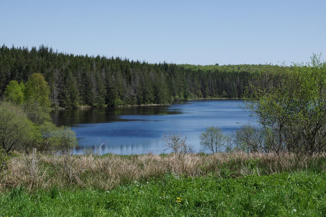 étang des Oussines - Corrèze