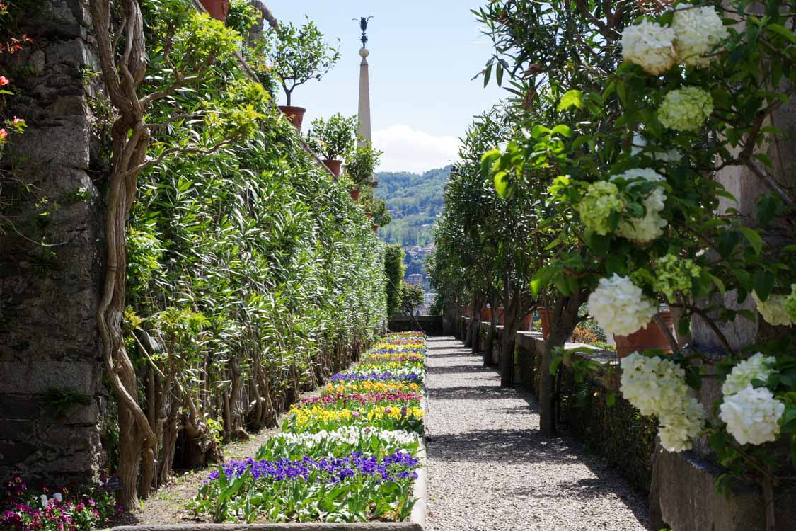 Une allée tranquille dans les jardins d'Isola Bella