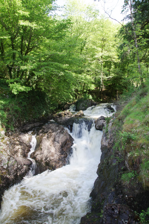 IMGP5745 Le parc de Gimel les Cascades