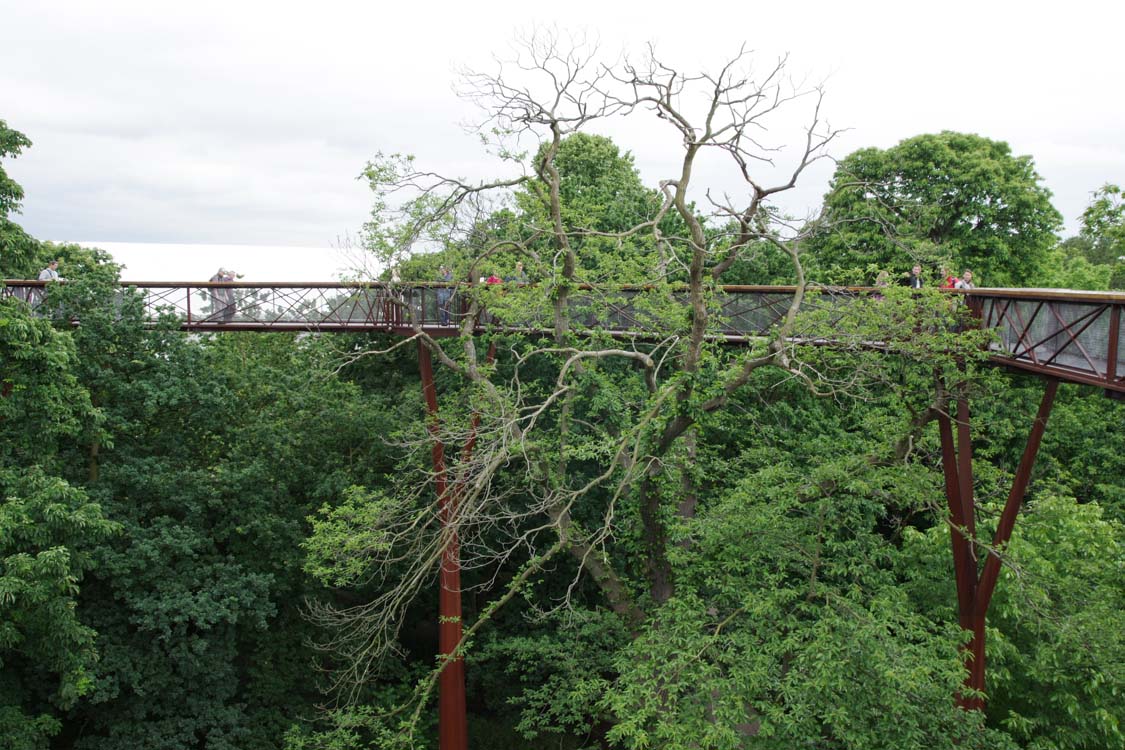 le pont suspendu de Kew Garden