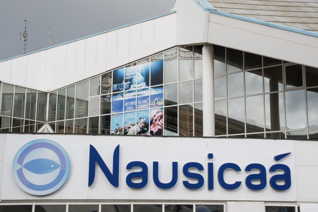 Nausicaa - le centre national de la Mer