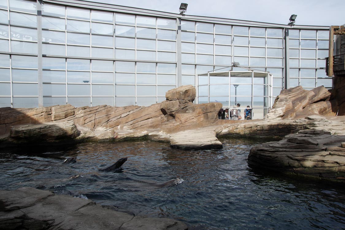 Nausicaa - le centre national de la Mer