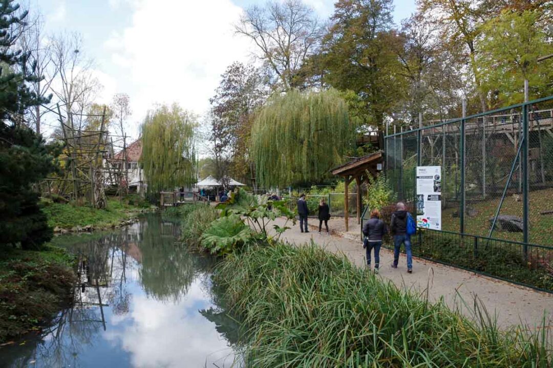 visite du zoo de Beauval
