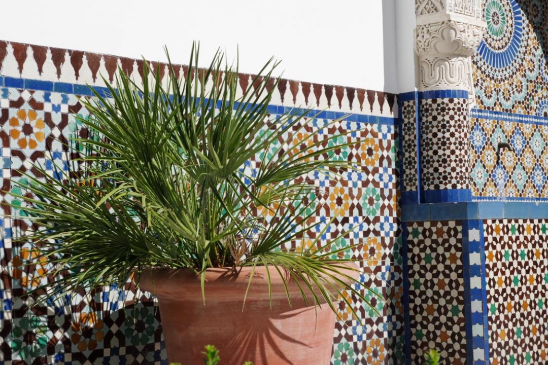 jardin de la mosquée de paris