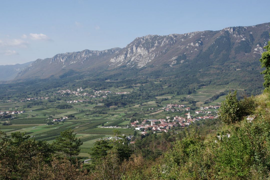 Panorama sur la vallée de Vipava