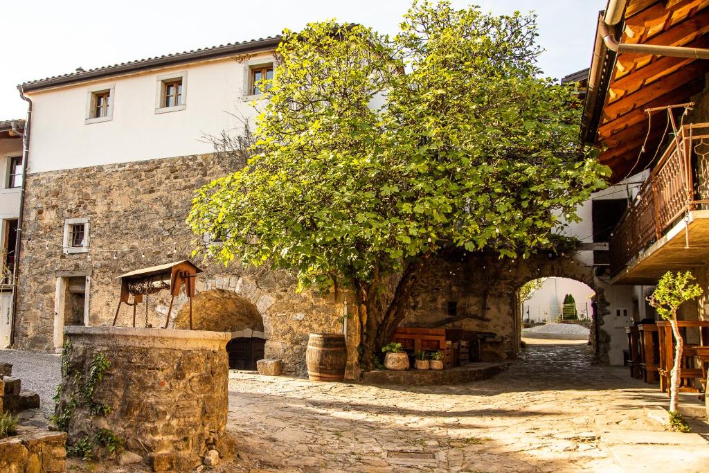 Maison des vignobles Zorz au coeur de la vallée viticole de la Vipava en Slovénie