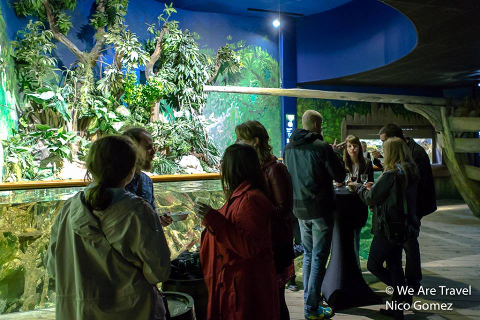 Soirée We Arte Travel à l'aquarium de Saint Malo