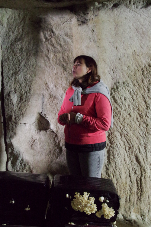 Visite guidée d'une cave champignionnière à Bourrée