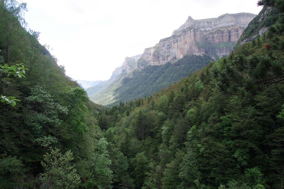 le canyon d'Ordesa en Espagne
