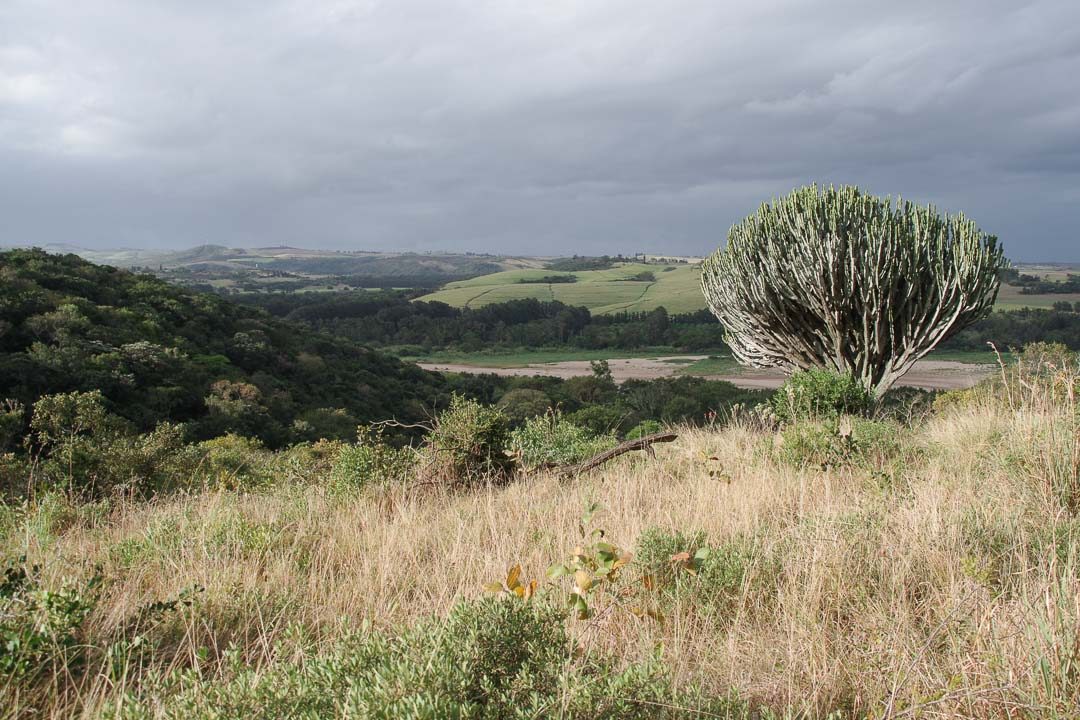 paysage de la Harold Johnson Nature Reserve