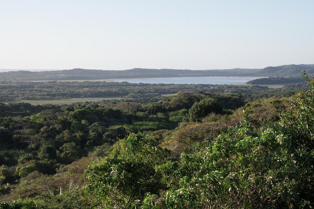 Panorama sur iSigmangaliso Wetland Park